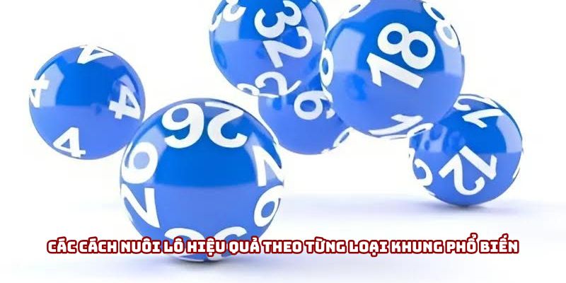 Các loại khung nuôi lô phổ biến