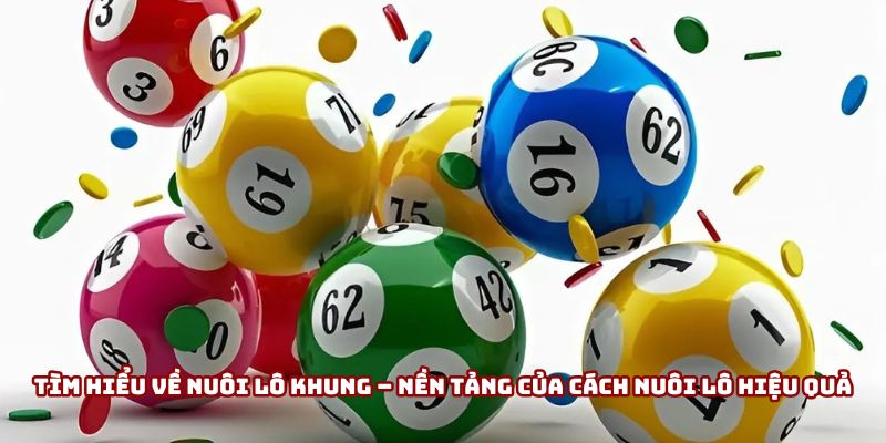 Nuôi lô khung là gì