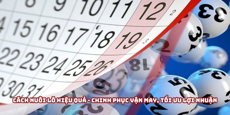 cách nuôi lô hiệu quả