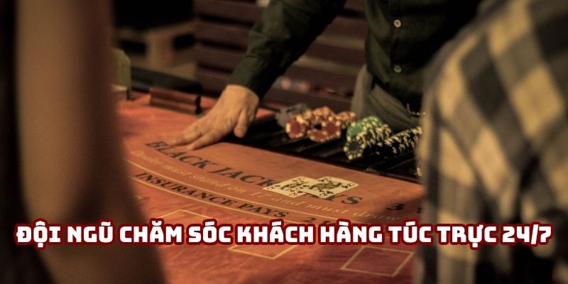 Đội ngũ chăm sóc khách hàng túc trực 24/7, sẵn sàng phản hồi