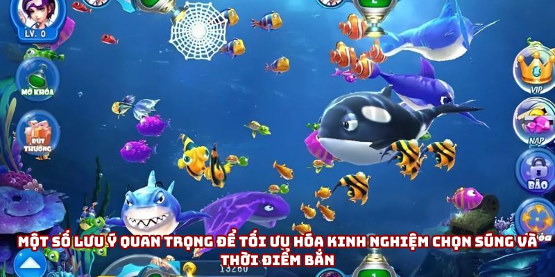 Lưu ý quan trọng trong bắn cá mà newbie cần biết