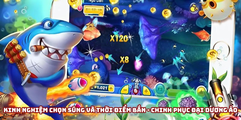 kinh nghiệm chọn súng và thời điểm bắn