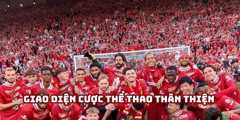 Giao diện cược thể thao thân thiện và trực quan tại 58win